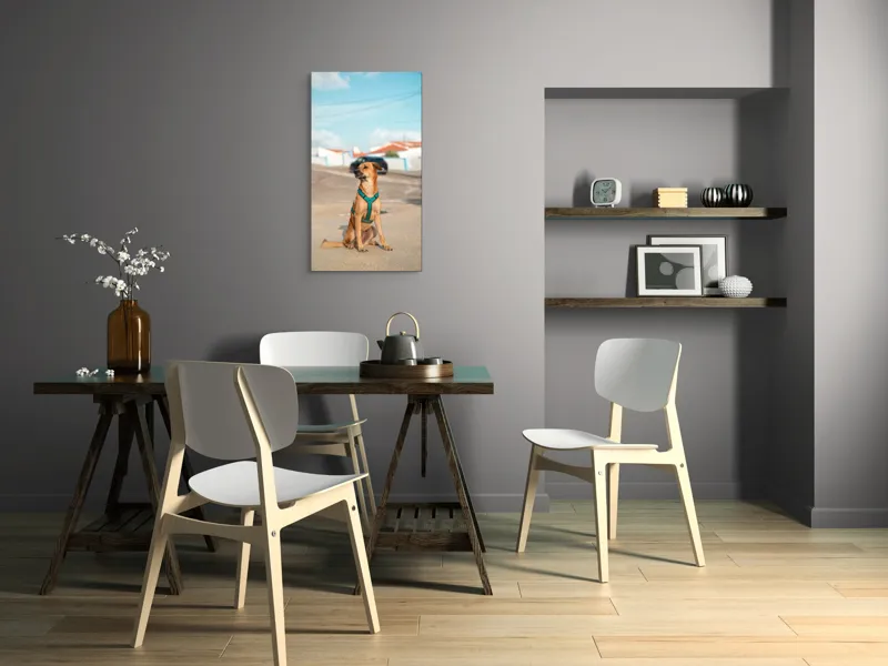 Tablou Canvas, "Câinele la soare pe stradă", Blând, Loial, Viguros, Așezat, Zgarda, Curiozitate, Drumul, Cer, Liniște, 50 x 90 cm – poza 4