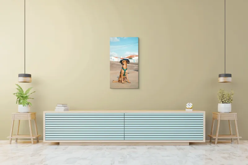 Tablou Canvas, "Câinele la soare pe stradă", Blând, Loial, Viguros, Așezat, Zgarda, Curiozitate, Drumul, Cer, Liniște, 50 x 90 cm – poza 6