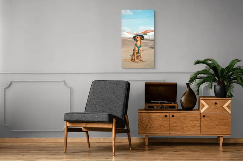 Tablou Canvas, "Câinele la soare pe stradă", Blând, Loial, Viguros, Așezat, Zgarda, Curiozitate, Drumul, Cer, Liniște, 50 x 90 cm – poza 8