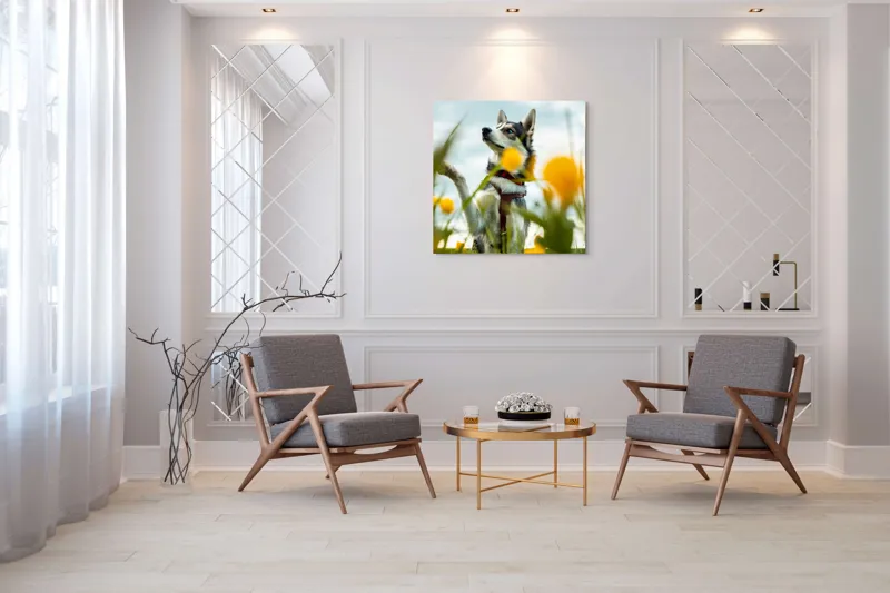 Tablou Canvas, "Câine jucăuș în câmpul de flori", Flori, Câine, Cer, Natură, Galben, Primăvară, Voinic, Fericire, Verde, Blând., 100 x 100 cm – poza 7