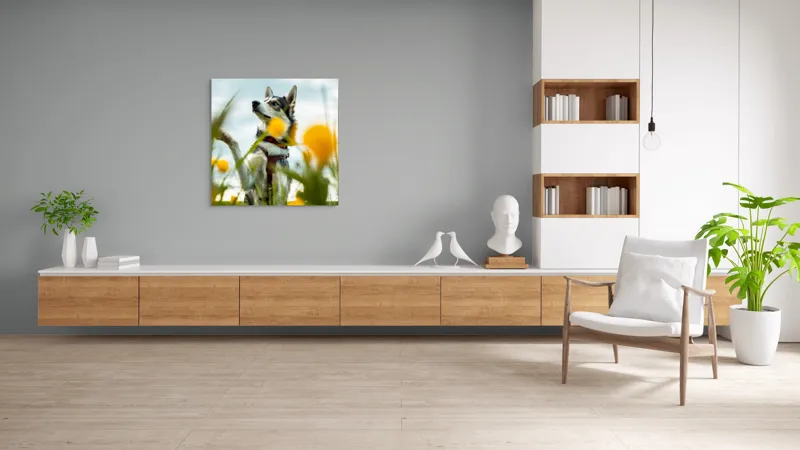 Tablou Canvas, "Câine jucăuș în câmpul de flori", Flori, Câine, Cer, Natură, Galben, Primăvară, Voinic, Fericire, Verde, Blând., 100 x 100 cm – poza 8