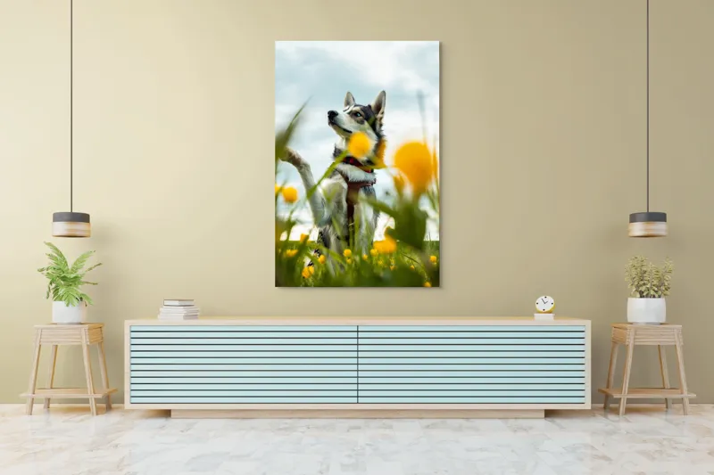 Tablou Canvas, "Câine jucăuș în câmpul de flori", Flori, Câine, Cer, Natură, Galben, Primăvară, Voinic, Fericire, Verde, Blând., 100 x 150 cm – poza 4