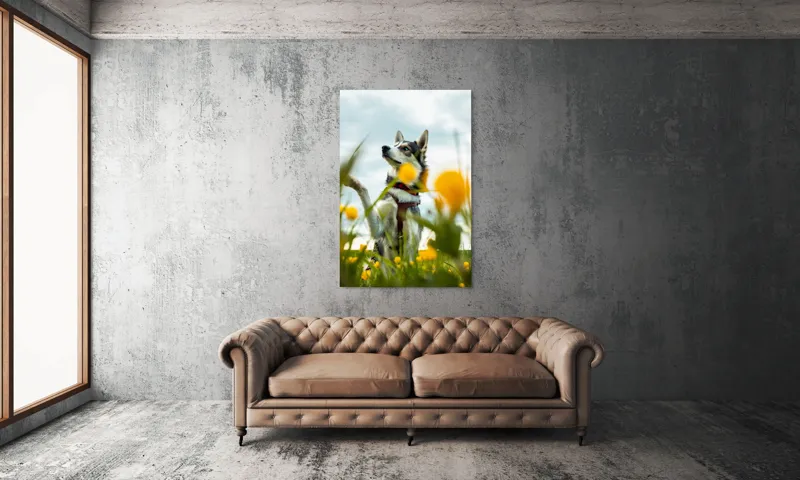 Tablou Canvas, "Câine jucăuș în câmpul de flori", Flori, Câine, Cer, Natură, Galben, Primăvară, Voinic, Fericire, Verde, Blând., 100 x 150 cm – poza 6