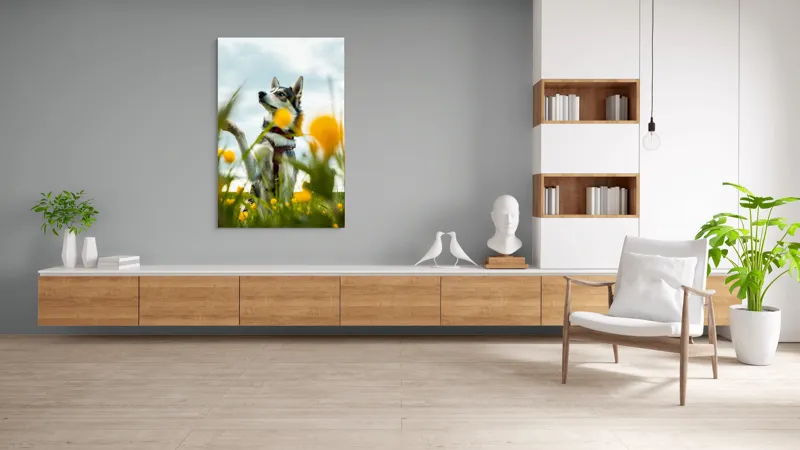 Tablou Canvas, "Câine jucăuș în câmpul de flori", Flori, Câine, Cer, Natură, Galben, Primăvară, Voinic, Fericire, Verde, Blând., 100 x 150 cm – poza 8
