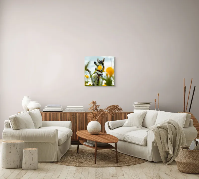 Tablou Canvas, "Câine jucăuș în câmpul de flori", Flori, Câine, Cer, Natură, Galben, Primăvară, Voinic, Fericire, Verde, Blând., 50 x 50 cm – poza 7
