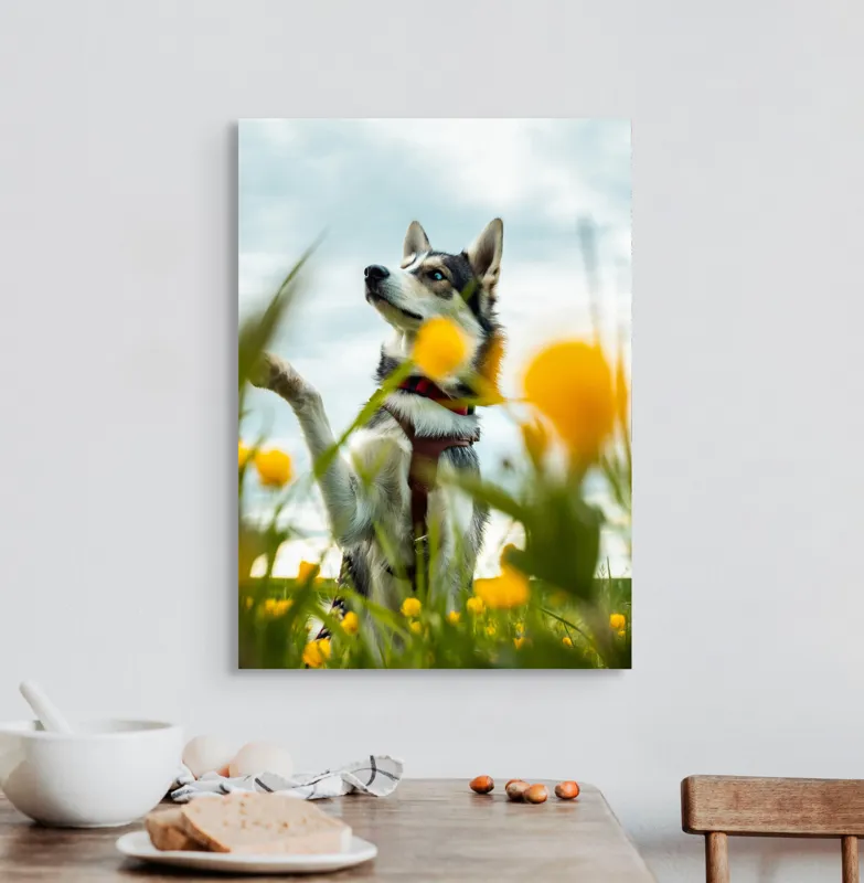 Tablou Canvas, "Câine jucăuș în câmpul de flori", Flori, Câine, Cer, Natură, Galben, Primăvară, Voinic, Fericire, Verde, Blând., 50 x 70 cm – poza 3