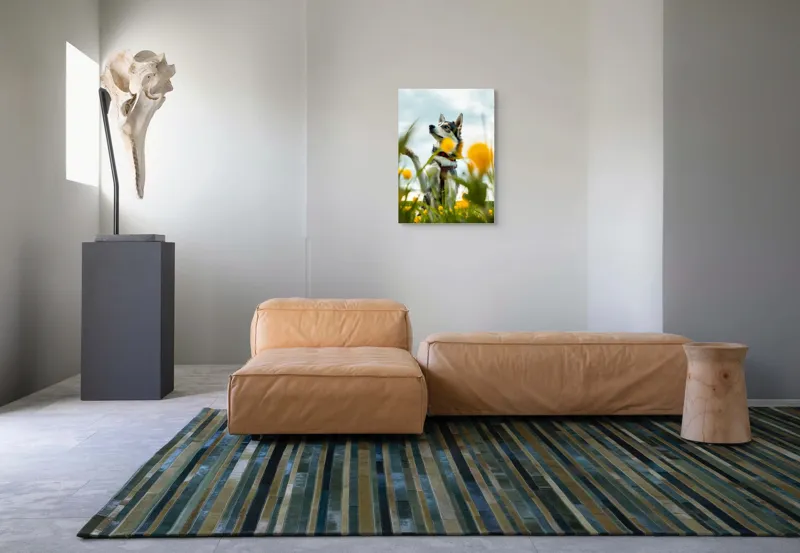 Tablou Canvas, "Câine jucăuș în câmpul de flori", Flori, Câine, Cer, Natură, Galben, Primăvară, Voinic, Fericire, Verde, Blând., 50 x 70 cm – poza 7
