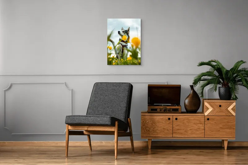 Tablou Canvas, "Câine jucăuș în câmpul de flori", Flori, Câine, Cer, Natură, Galben, Primăvară, Voinic, Fericire, Verde, Blând., 50 x 70 cm – poza 8