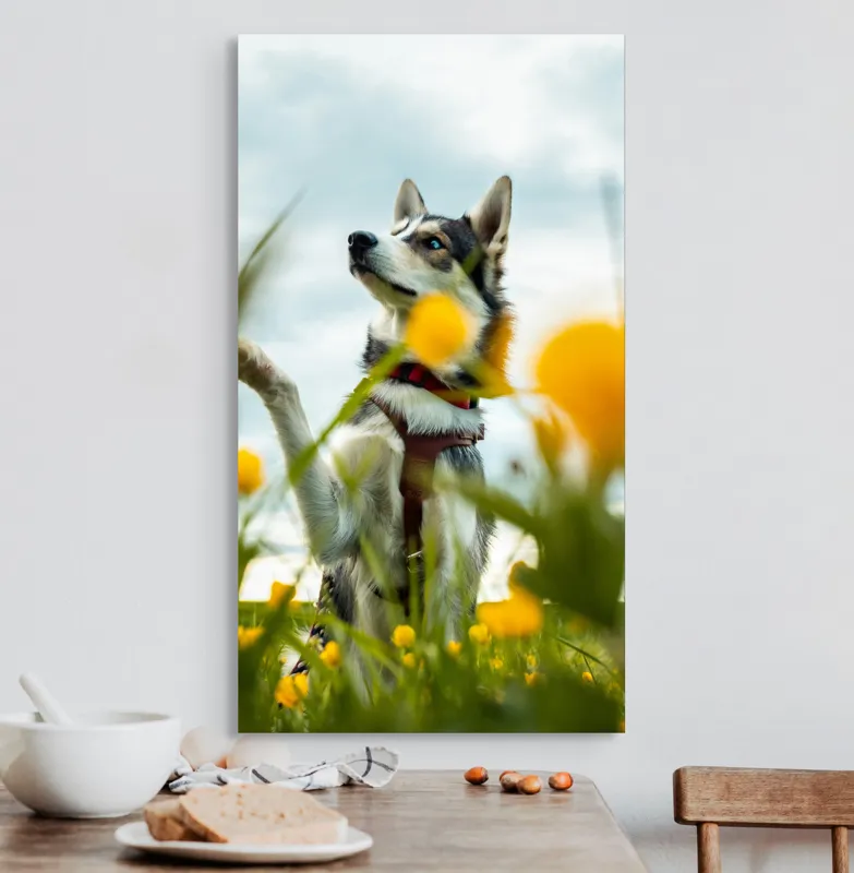 Tablou Canvas, "Câine jucăuș în câmpul de flori", Flori, Câine, Cer, Natură, Galben, Primăvară, Voinic, Fericire, Verde, Blând., 50 x 90 cm – poza 3