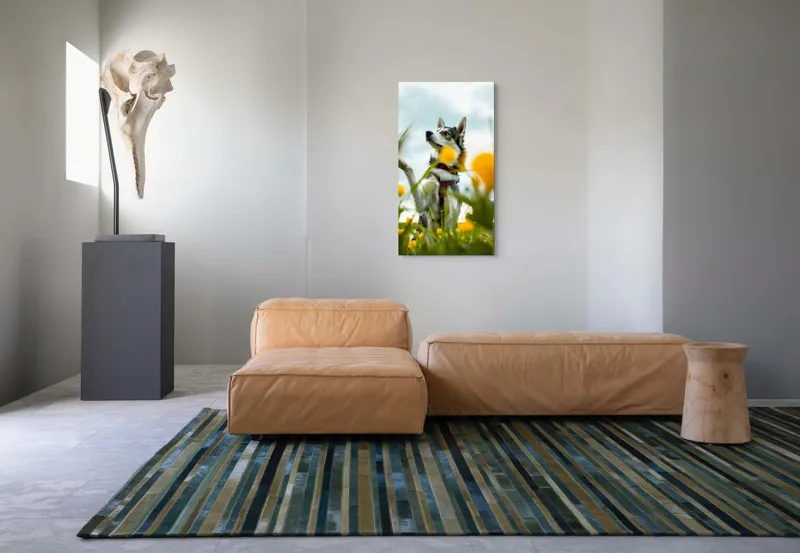 Tablou Canvas, "Câine jucăuș în câmpul de flori", Flori, Câine, Cer, Natură, Galben, Primăvară, Voinic, Fericire, Verde, Blând., 50 x 90 cm – poza 5
