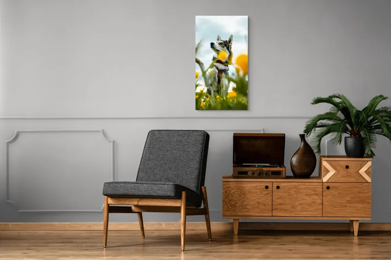 Tablou Canvas, "Câine jucăuș în câmpul de flori", Flori, Câine, Cer, Natură, Galben, Primăvară, Voinic, Fericire, Verde, Blând., 50 x 90 cm – poza 8