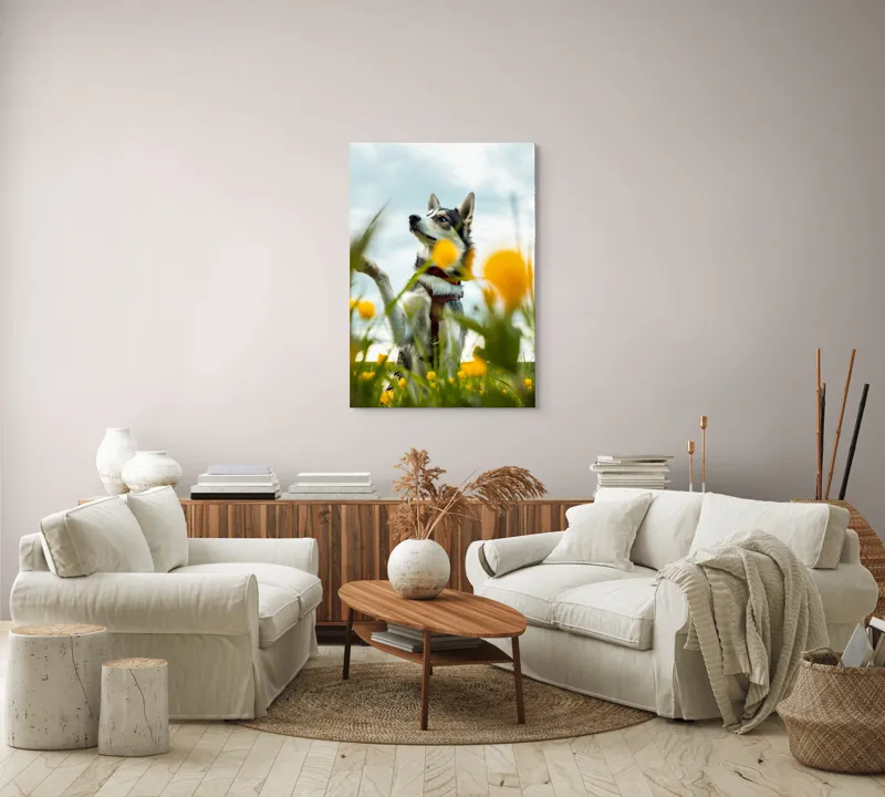 Tablou Canvas, "Câine jucăuș în câmpul de flori", Flori, Câine, Cer, Natură, Galben, Primăvară, Voinic, Fericire, Verde, Blând., 70 x 100 cm – poza 4