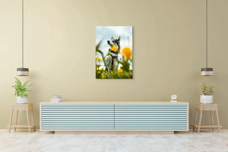 Tablou Canvas, "Câine jucăuș în câmpul de flori", Flori, Câine, Cer, Natură, Galben, Primăvară, Voinic, Fericire, Verde, Blând., 70 x 100 cm – poza 5