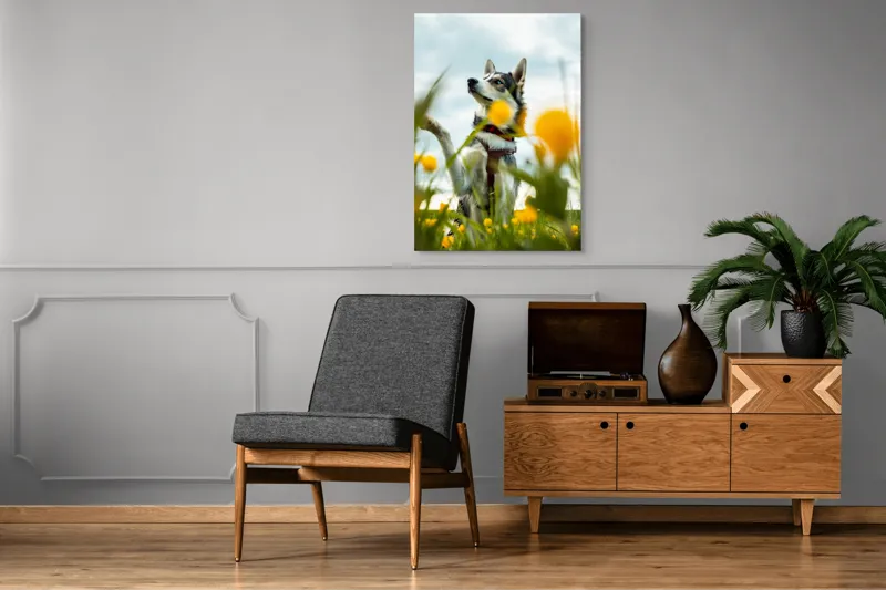 Tablou Canvas, "Câine jucăuș în câmpul de flori", Flori, Câine, Cer, Natură, Galben, Primăvară, Voinic, Fericire, Verde, Blând., 70 x 100 cm – poza 6