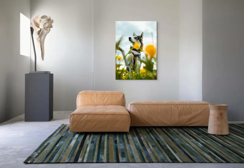 Tablou Canvas, "Câine jucăuș în câmpul de flori", Flori, Câine, Cer, Natură, Galben, Primăvară, Voinic, Fericire, Verde, Blând., 70 x 100 cm – poza 7