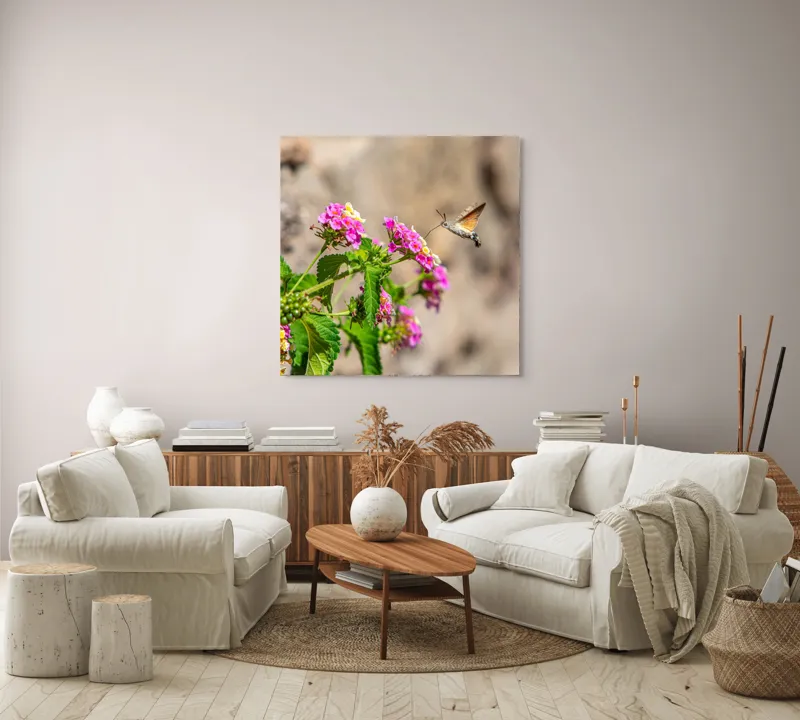 Tablou Canvas, "Colibri printre flori colorate de vară", Flori, Nectar, Fluture, Viu, Natură, Zbor, Fragil, Înflorire, 100 x 100 cm – poza 3