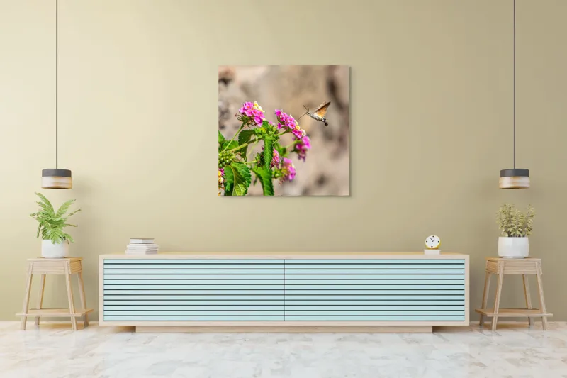 Tablou Canvas, "Colibri printre flori colorate de vară", Flori, Nectar, Fluture, Viu, Natură, Zbor, Fragil, Înflorire, 100 x 100 cm – poza 5