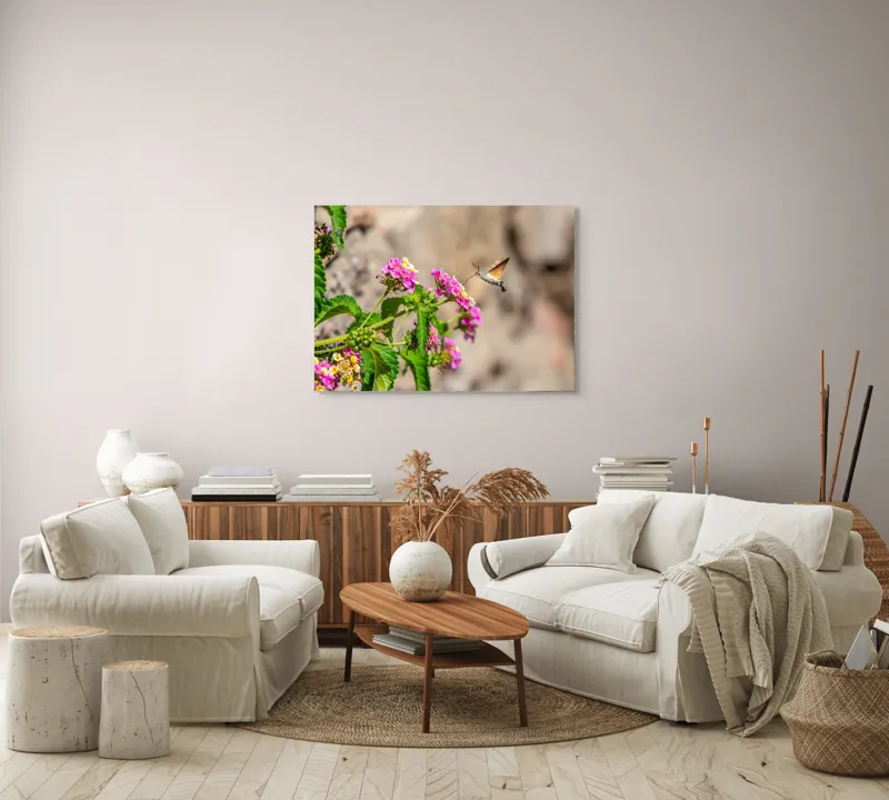 Tablou Canvas, "Colibri printre flori colorate de vară", Flori, Nectar, Fluture, Viu, Natură, Zbor, Fragil, Înflorire, 100 x 70 cm – poza 3