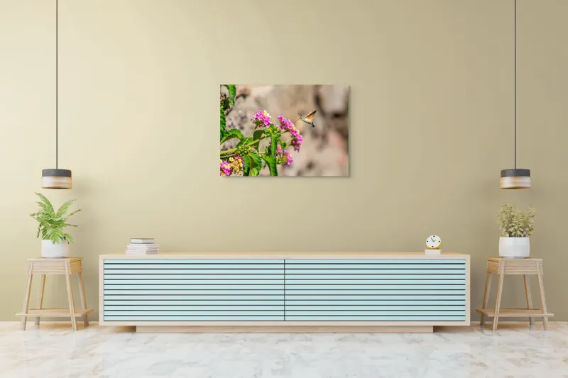 Tablou Canvas, "Colibri printre flori colorate de vară", Flori, Nectar, Fluture, Viu, Natură, Zbor, Fragil, Înflorire, 100 x 70 cm – poza 4