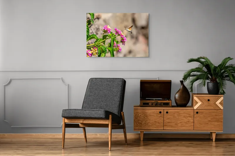 Tablou Canvas, "Colibri printre flori colorate de vară", Flori, Nectar, Fluture, Viu, Natură, Zbor, Fragil, Înflorire, 100 x 70 cm – poza 8
