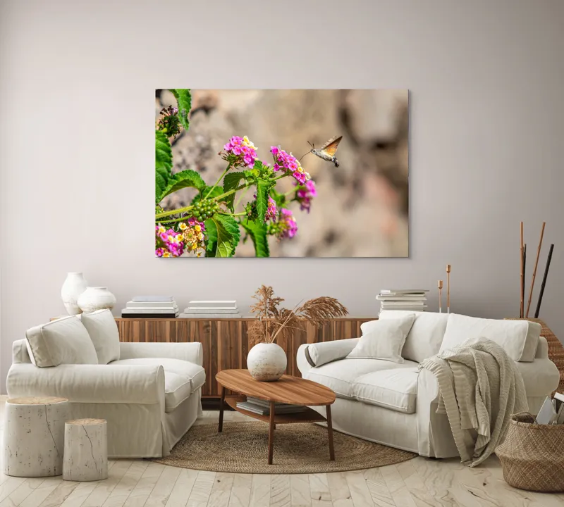 Tablou Canvas, "Colibri printre flori colorate de vară", Flori, Nectar, Fluture, Viu, Natură, Zbor, Fragil, Înflorire, 150 x 100 cm – poza 3