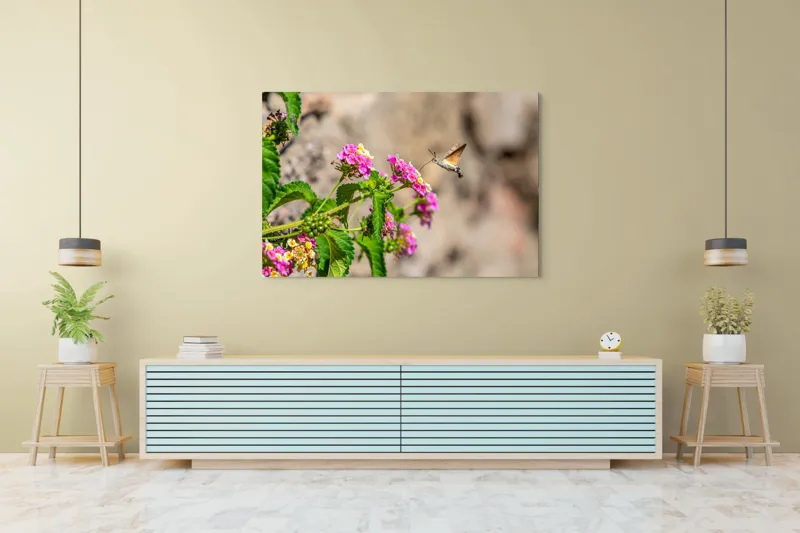 Tablou Canvas, "Colibri printre flori colorate de vară", Flori, Nectar, Fluture, Viu, Natură, Zbor, Fragil, Înflorire, 150 x 100 cm – poza 6