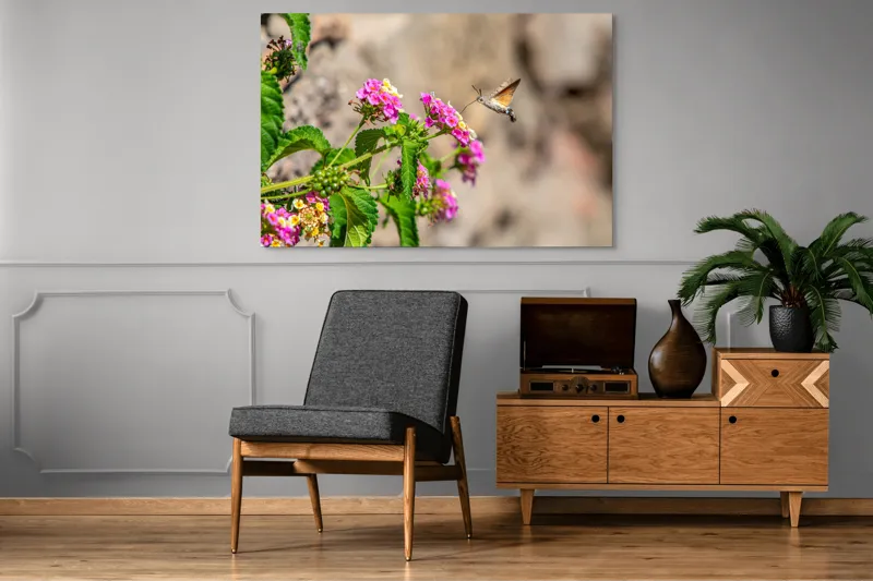 Tablou Canvas, "Colibri printre flori colorate de vară", Flori, Nectar, Fluture, Viu, Natură, Zbor, Fragil, Înflorire, 150 x 100 cm – poza 8