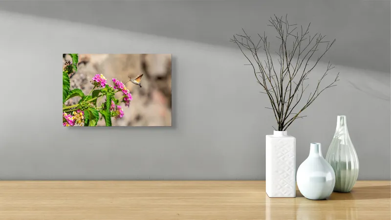 Tablou Canvas, "Colibri printre flori colorate de vară", Flori, Nectar, Fluture, Viu, Natură, Zbor, Fragil, Înflorire, 39 x 26 cm – poza 8