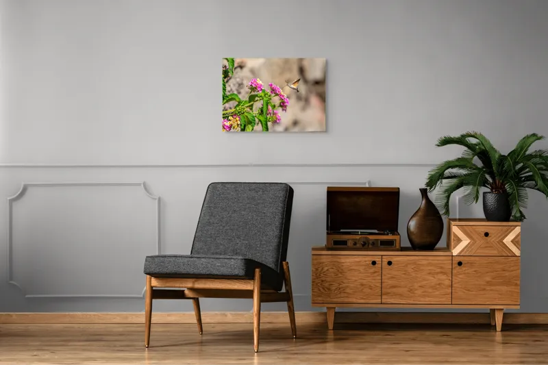 Tablou Canvas, "Colibri printre flori colorate de vară", Flori, Nectar, Fluture, Viu, Natură, Zbor, Fragil, Înflorire, 70 x 50 cm – poza 4
