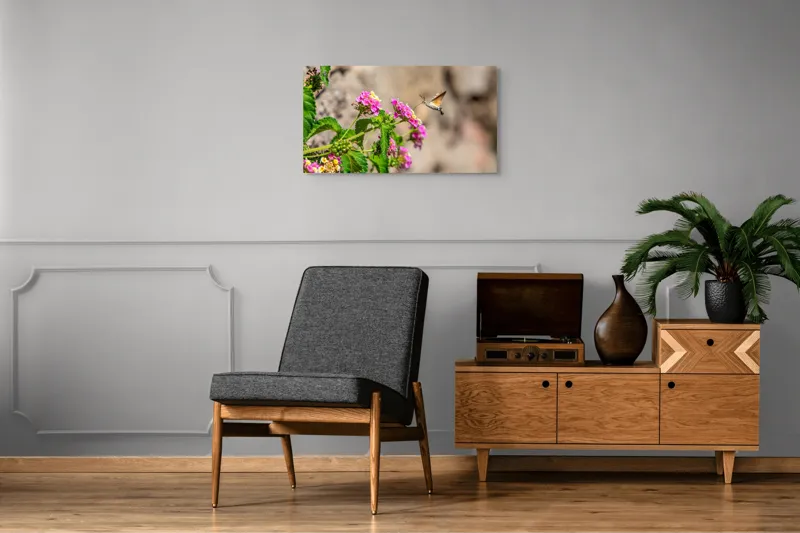 Tablou Canvas, "Colibri printre flori colorate de vară", Flori, Nectar, Fluture, Viu, Natură, Zbor, Fragil, Înflorire, 90 x 50 cm – poza 6