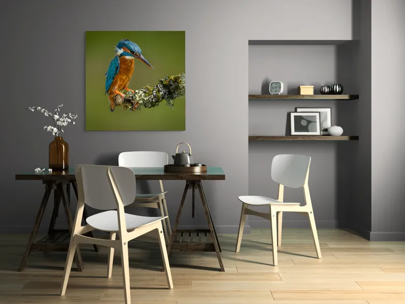 Tablou Canvas, "Un pescăruș albastru pe creangă mușchiată", Pasăre, Rândunică, Ramură, Muschi, Natură, Colorat, Albastru, Portocaliu, Verde, Pene, Mici, Frumusețe, Lumină., 100 x 100 cm – poza 6