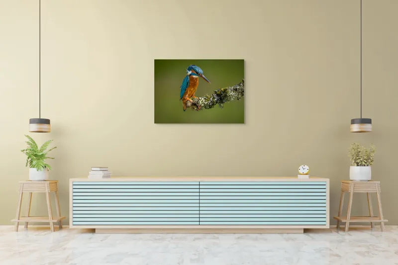 Tablou Canvas, "Un pescăruș albastru pe creangă mușchiată", Pasăre, Rândunică, Ramură, Muschi, Natură, Colorat, Albastru, Portocaliu, Verde, Pene, Mici, Frumusețe, Lumină., 100 x 70 cm – poza 4