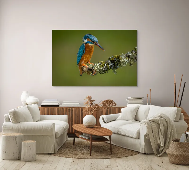 Tablou Canvas, "Un pescăruș albastru pe creangă mușchiată", Pasăre, Rândunică, Ramură, Muschi, Natură, Colorat, Albastru, Portocaliu, Verde, Pene, Mici, Frumusețe, Lumină., 150 x 100 cm – poza 3