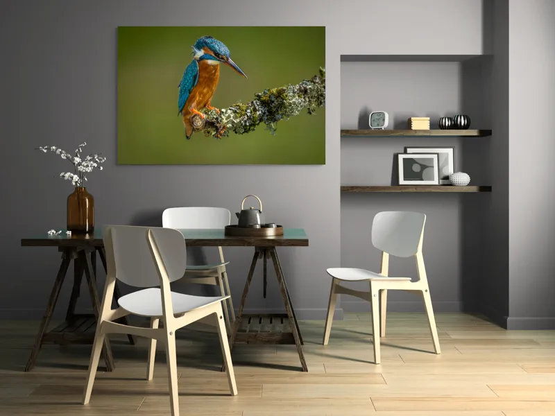 Tablou Canvas, "Un pescăruș albastru pe creangă mușchiată", Pasăre, Rândunică, Ramură, Muschi, Natură, Colorat, Albastru, Portocaliu, Verde, Pene, Mici, Frumusețe, Lumină., 150 x 100 cm – poza 5