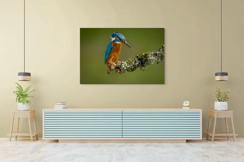Tablou Canvas, "Un pescăruș albastru pe creangă mușchiată", Pasăre, Rândunică, Ramură, Muschi, Natură, Colorat, Albastru, Portocaliu, Verde, Pene, Mici, Frumusețe, Lumină., 150 x 100 cm – poza 6