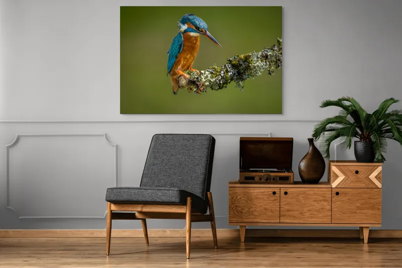 Tablou Canvas, "Un pescăruș albastru pe creangă mușchiată", Pasăre, Rândunică, Ramură, Muschi, Natură, Colorat, Albastru, Portocaliu, Verde, Pene, Mici, Frumusețe, Lumină., 150 x 100 cm – poza 8