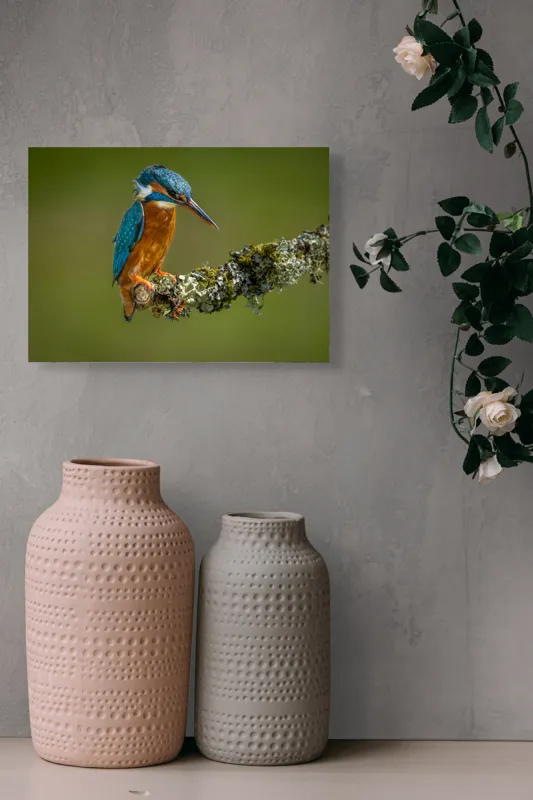 Tablou Canvas, "Un pescăruș albastru pe creangă mușchiată", Pasăre, Rândunică, Ramură, Muschi, Natură, Colorat, Albastru, Portocaliu, Verde, Pene, Mici, Frumusețe, Lumină., 54 x 39 cm – poza 8