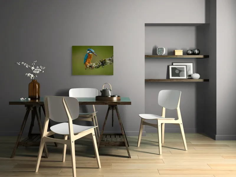 Tablou Canvas, "Un pescăruș albastru pe creangă mușchiată", Pasăre, Rândunică, Ramură, Muschi, Natură, Colorat, Albastru, Portocaliu, Verde, Pene, Mici, Frumusețe, Lumină., 70 x 50 cm – poza 5