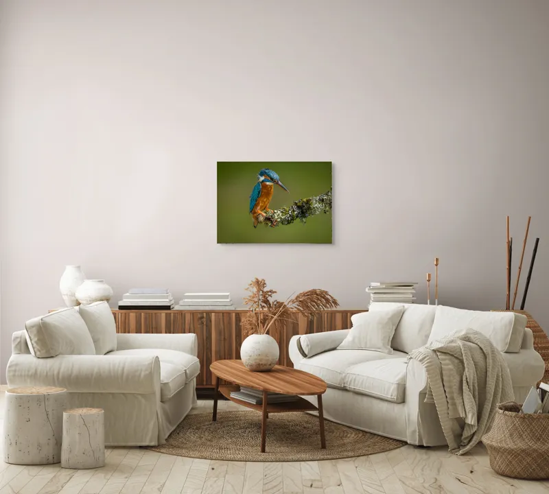 Tablou Canvas, "Un pescăruș albastru pe creangă mușchiată", Pasăre, Rândunică, Ramură, Muschi, Natură, Colorat, Albastru, Portocaliu, Verde, Pene, Mici, Frumusețe, Lumină., 70 x 50 cm – poza 6