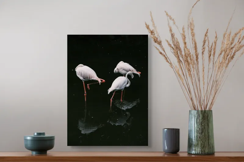 Tablou Canvas, "Flamingo grațioase în apă întunecată", Flamingo, Reflecții, Eleganță, Echilibru, Tranquilitate, Grație, 39 x 54 cm – poza 3