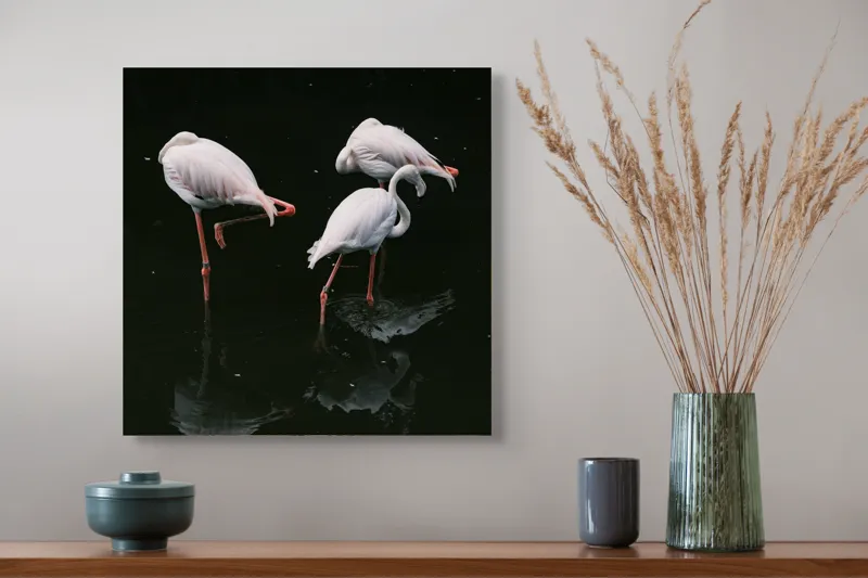 Tablou Canvas, "Flamingo grațioase în apă întunecată", Flamingo, Reflecții, Eleganță, Echilibru, Tranquilitate, Grație, 50 x 50 cm – poza 4