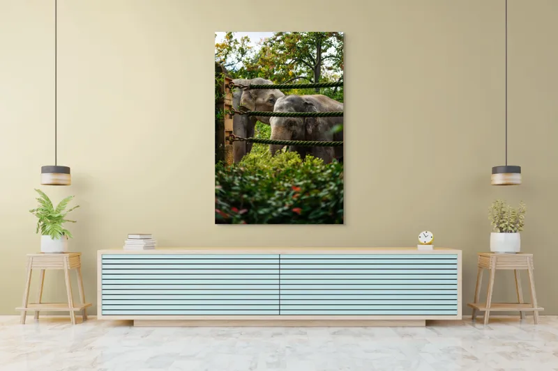 Tablou Canvas, "Elefanți în grădina zoologică verde", Elefanți, Grădină, Frânghii, Frunze, Copaci, Peisaj, Natural, Verde, Animale, 100 x 150 cm – poza 4