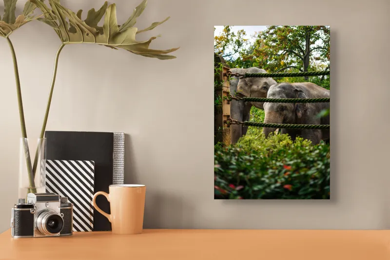 Tablou Canvas, "Elefanți în grădina zoologică verde", Elefanți, Grădină, Frânghii, Frunze, Copaci, Peisaj, Natural, Verde, Animale, 26 x 39 cm – poza 3