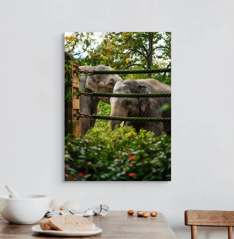 Tablou Canvas, "Elefanți în grădina zoologică verde", Elefanți, Grădină, Frânghii, Frunze, Copaci, Peisaj, Natural, Verde, Animale, 50 x 70 cm – poza 3