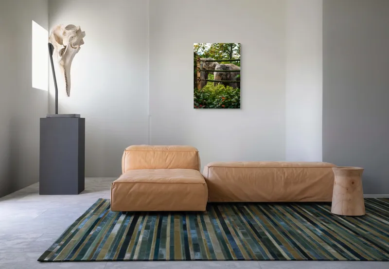Tablou Canvas, "Elefanți în grădina zoologică verde", Elefanți, Grădină, Frânghii, Frunze, Copaci, Peisaj, Natural, Verde, Animale, 50 x 70 cm – poza 7