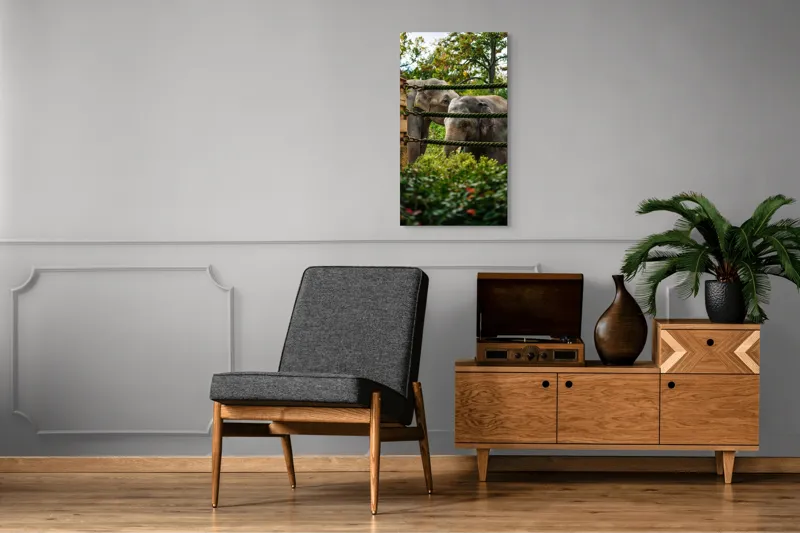 Tablou Canvas, "Elefanți în grădina zoologică verde", Elefanți, Grădină, Frânghii, Frunze, Copaci, Peisaj, Natural, Verde, Animale, 50 x 90 cm – poza 8