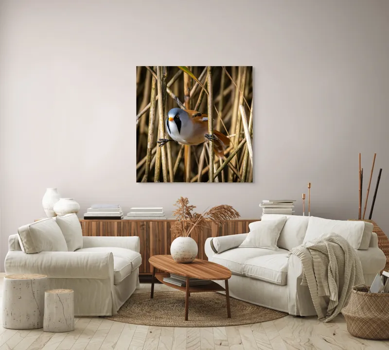 Tablou Canvas, "Păsăre în stufăriș de toamnă", Pasăre, Trestie, Muștar, Panică, Penaj, Soare, Ascuns, Natură, 100 x 100 cm – poza 3