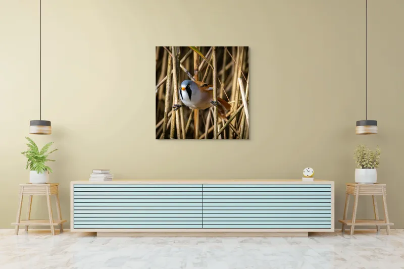 Tablou Canvas, "Păsăre în stufăriș de toamnă", Pasăre, Trestie, Muștar, Panică, Penaj, Soare, Ascuns, Natură, 100 x 100 cm – poza 5
