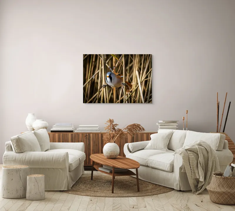 Tablou Canvas, "Păsăre în stufăriș de toamnă", Pasăre, Trestie, Muștar, Panică, Penaj, Soare, Ascuns, Natură, 100 x 70 cm – poza 3