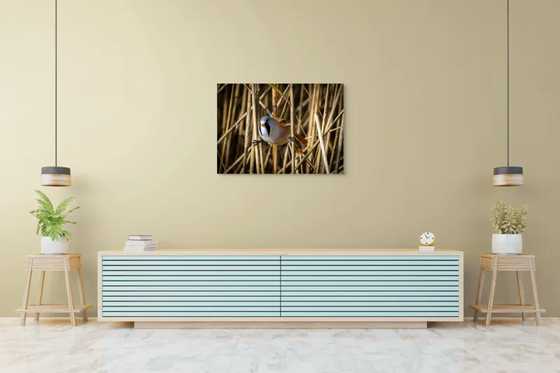 Tablou Canvas, "Păsăre în stufăriș de toamnă", Pasăre, Trestie, Muștar, Panică, Penaj, Soare, Ascuns, Natură, 100 x 70 cm – poza 4